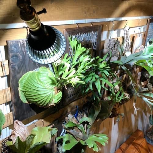 10W