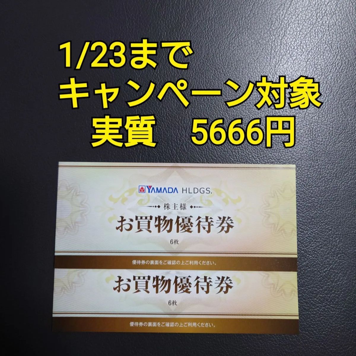 チケットヤマダ電機  株主優待  6000円分(500円×12枚)