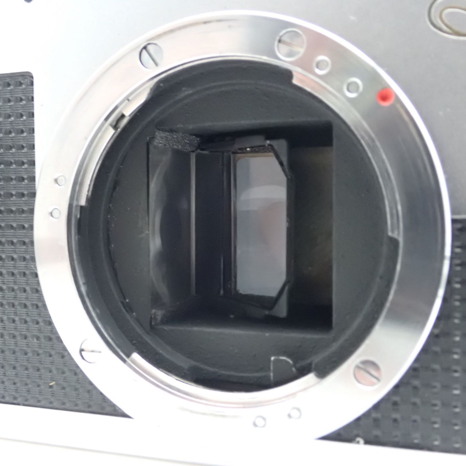 ハーフフレイム 279955