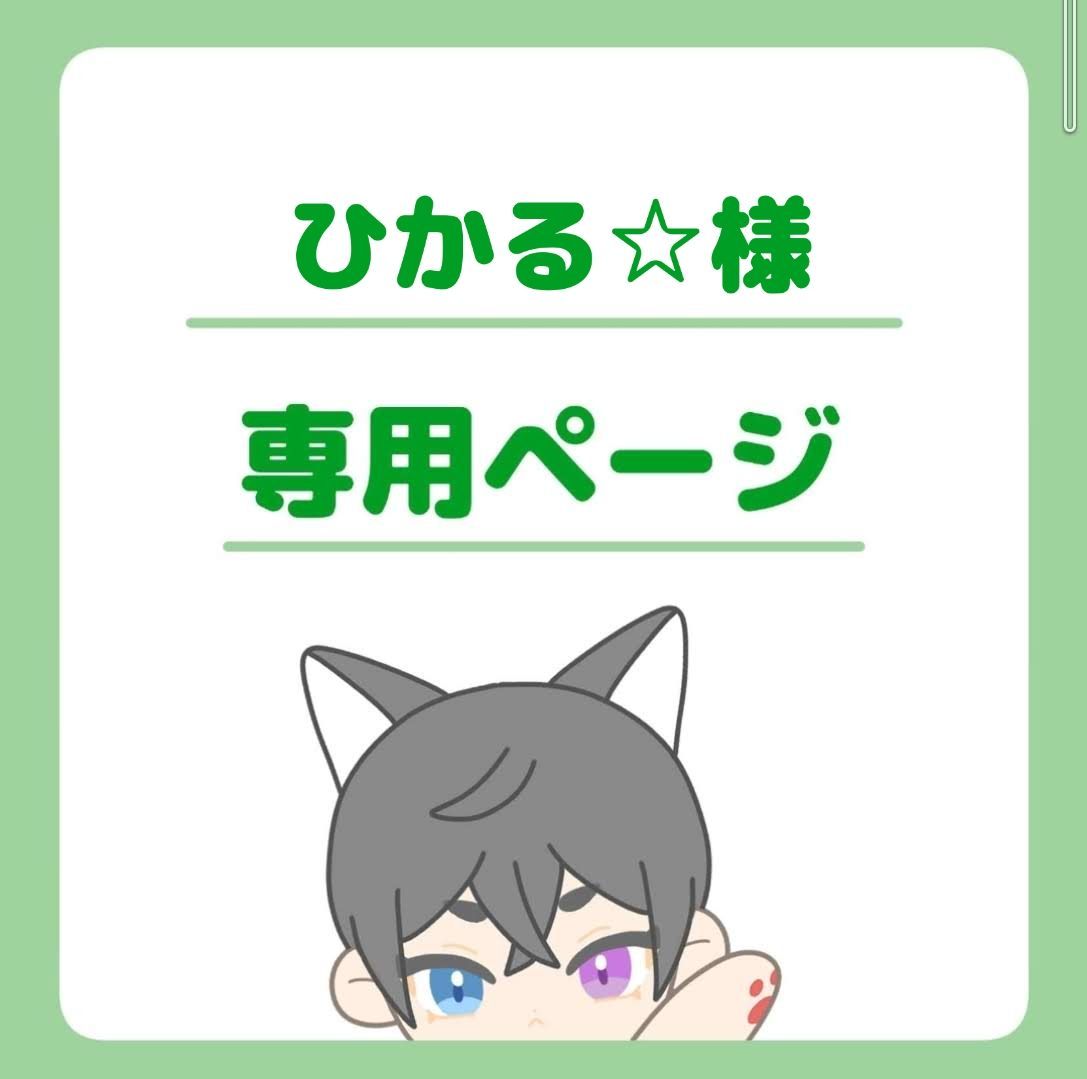 hikaru⭐︎さん専用 現状Hikaruさん専用】KARCHER SC2 高圧洗浄機 23年11