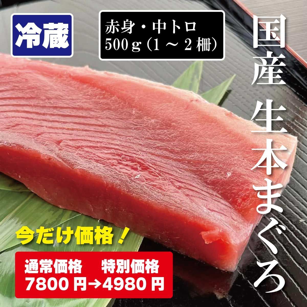 本マグロ 中トロ 500g