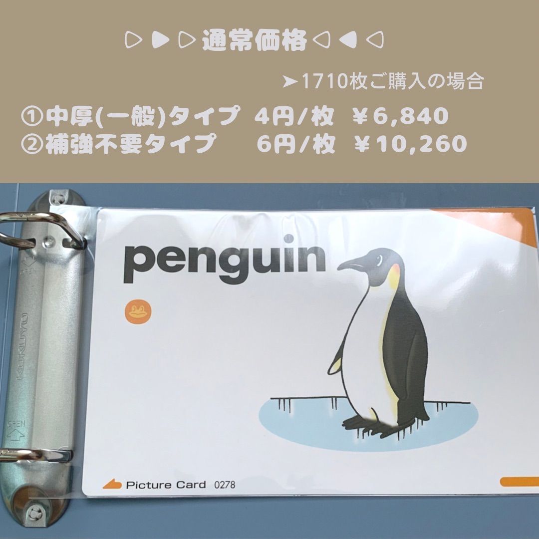 ピクチャーカード 収納袋