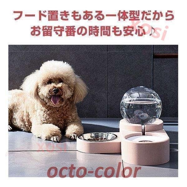 ペット