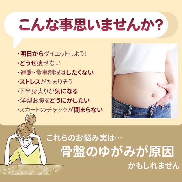 中古品/芦屋美整体 骨盤スリム3Dエアー(ダークブラウン) - メルカリ