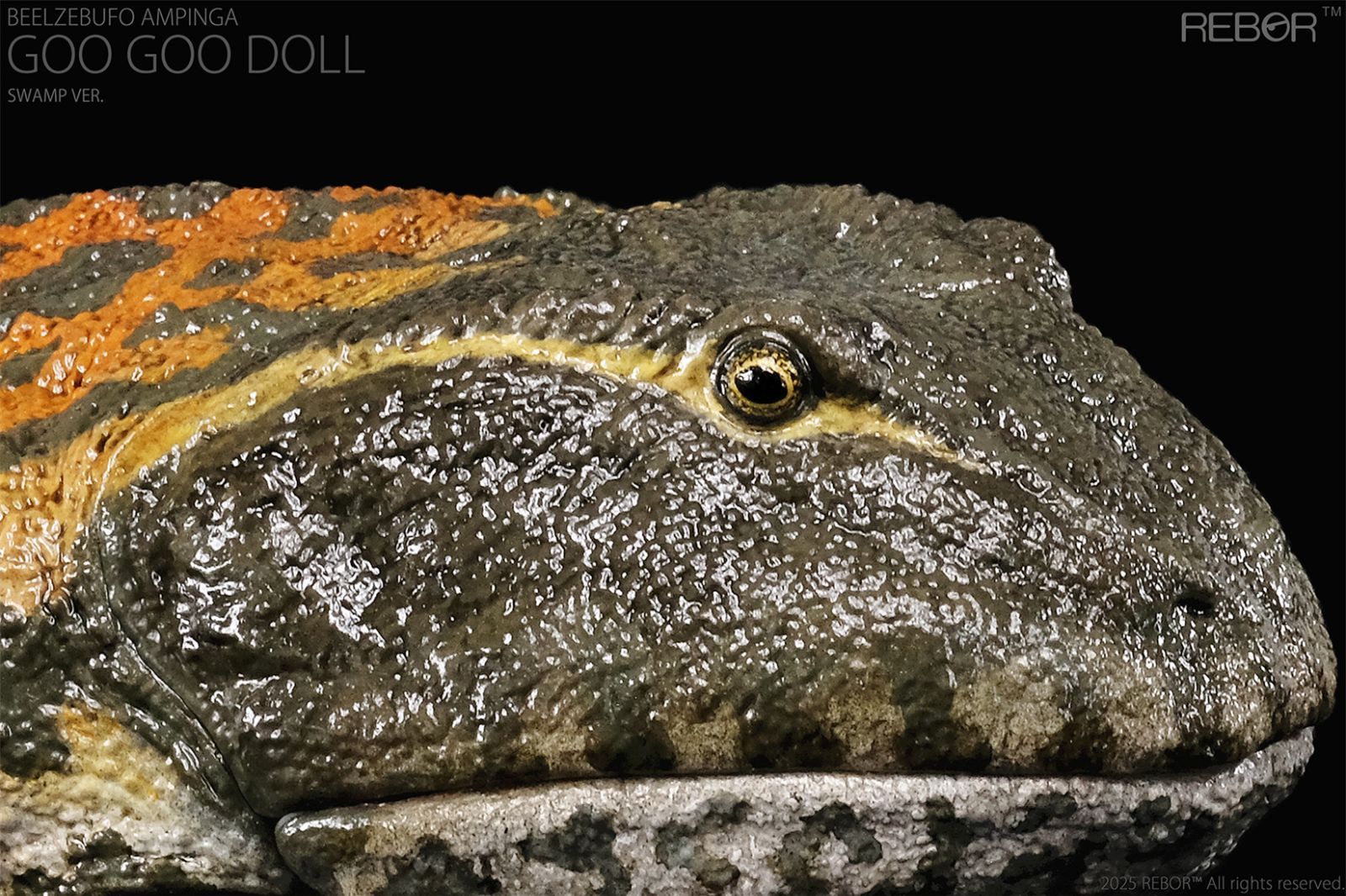 木彫 恐竜 テラトフォネウス 頭骨模型 10.5cm WWW_CHESHIRE-HOUSE_NET