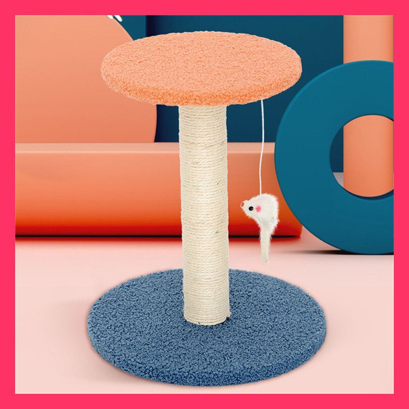 ミントFISH 様専用 ◉プロバイオミスト5本 良い