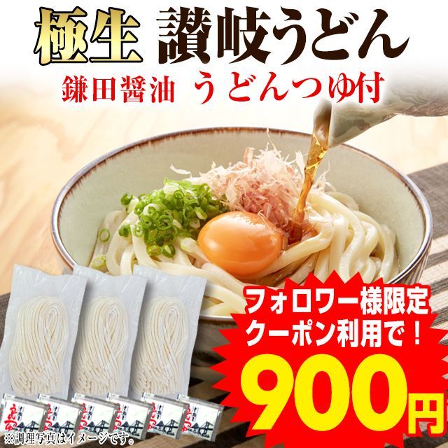 【本場 生麺 讃岐うどん 並切麺  750g つゆ付】 鎌田醤油のつゆ付セット 6人前 香川直送　　（UB）