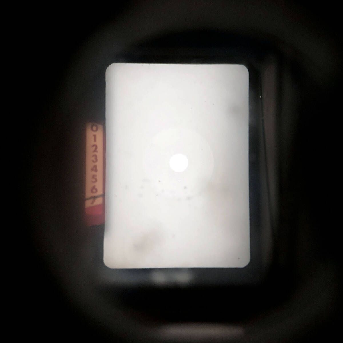 ハーフサイズフィルムカメラ