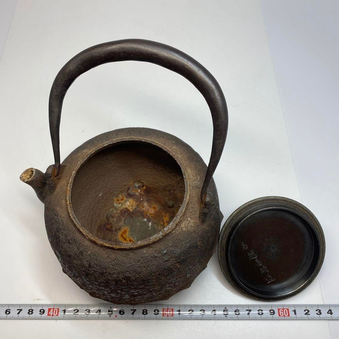 東Y6-0531 トコヒ