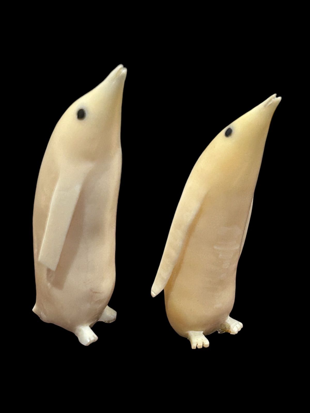 希少】マッコウクジラの歯の置物 【公式通販】
