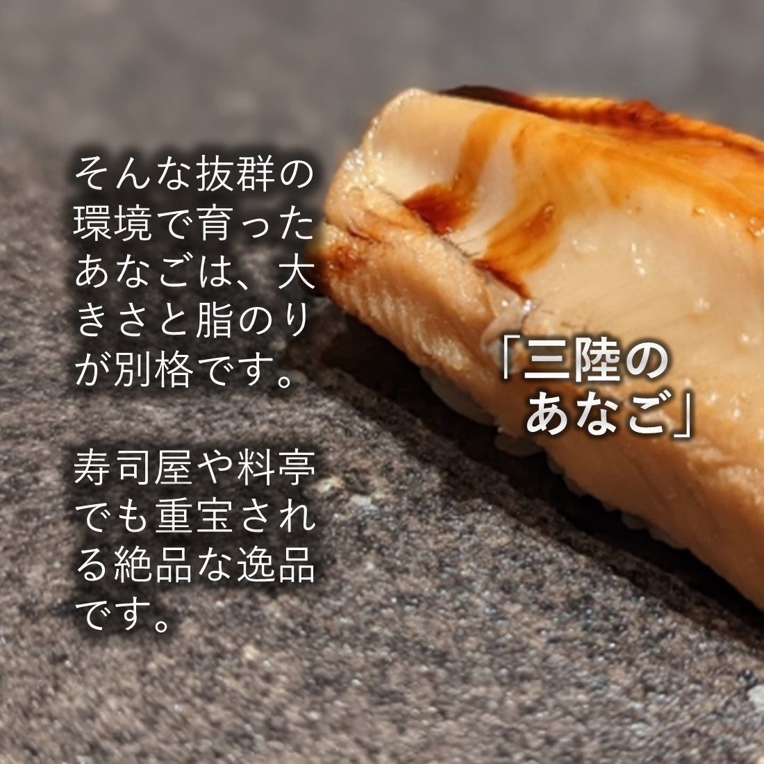 三陸産 あなご 500g  国産 大きさと脂のりが別格 蒲焼 白焼き 天ぷら等々