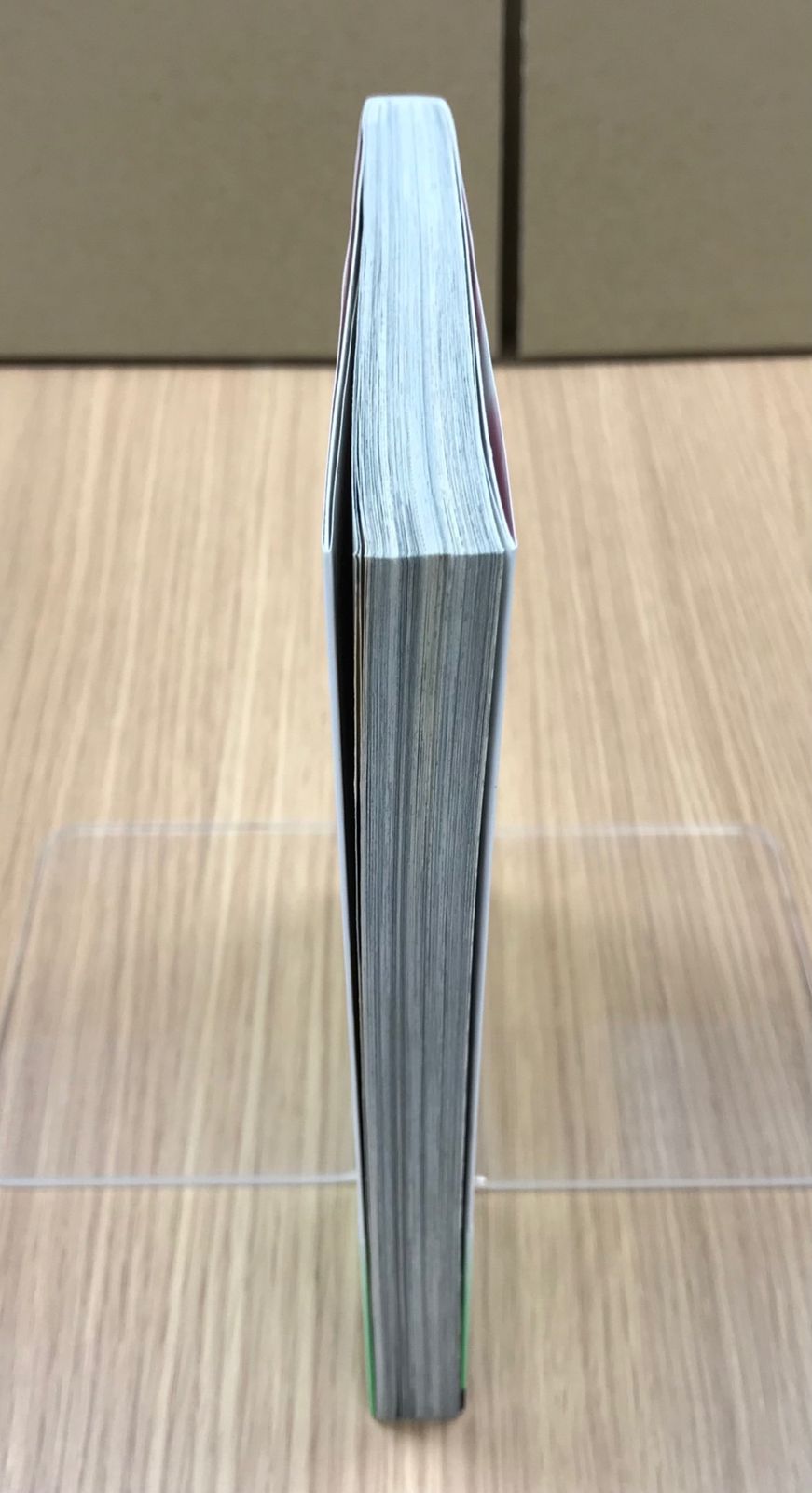 【500部限定】2冊同時発売　渡辺加苗『ずっと』　渡辺加和『一緒だよ』初回限定版 01MKUOLsA5L.gif_BO30,255,255,