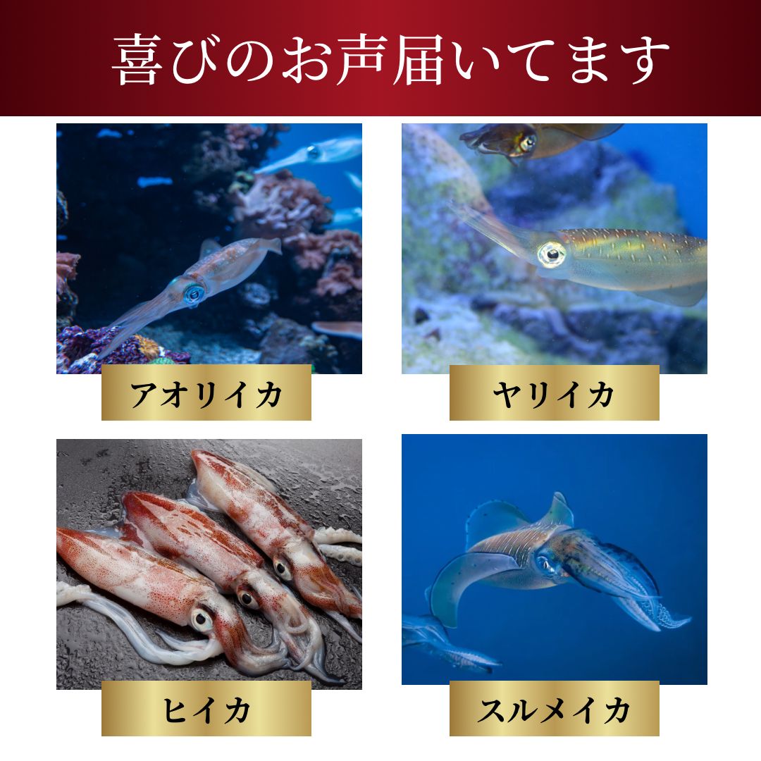エギ エギング 餌木 3号 3.5号 8本 セット 足つき イカ 釣り 夜 エギ エギング 餌木 3号 3.5号 8本 セット 足つき イカ 釣り 夜