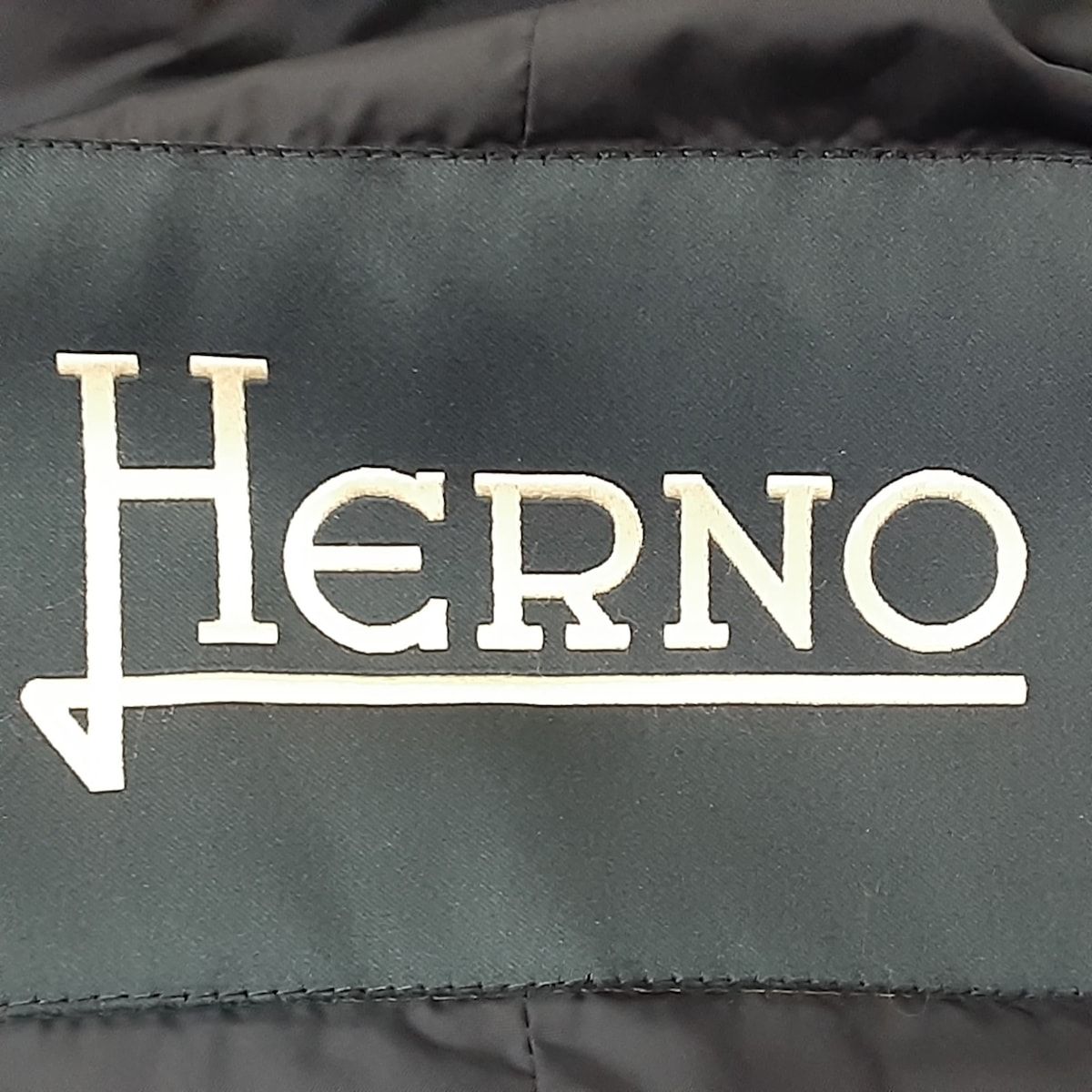 HERNO(ヘルノ) ダウンジャケット サイズ52 L メンズ美品  - ダークネイビー 長袖/冬