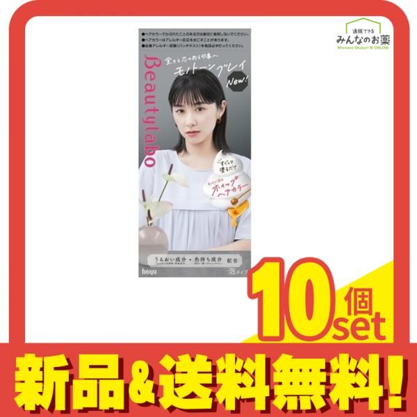 ビューティラボ ホイップヘアカラー モノトーングレイ 1組入 10個セット まとめ売り