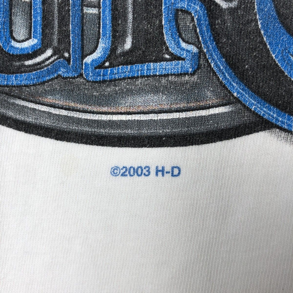 イーグル柄 ロングTシャツ