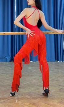 レオダートトップス＋フリンジパンツ 上下セット ラテンドレス