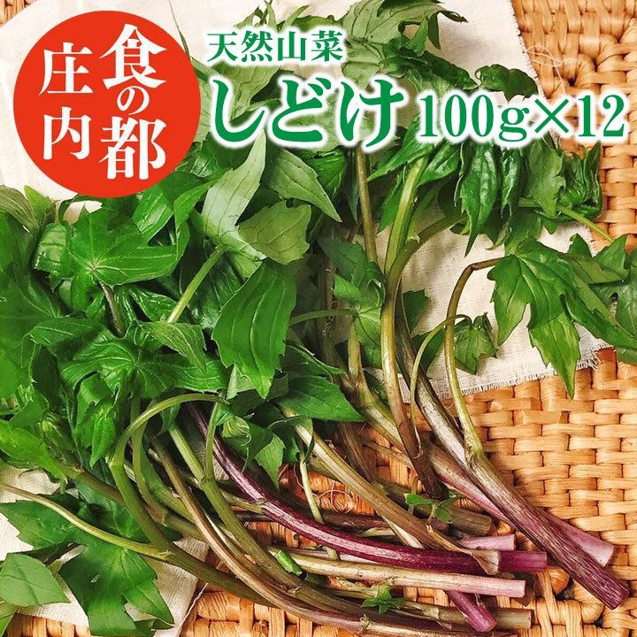 天然 山菜 シドケ 100ｇ×12 冷蔵 山形県庄内地方 しどけ