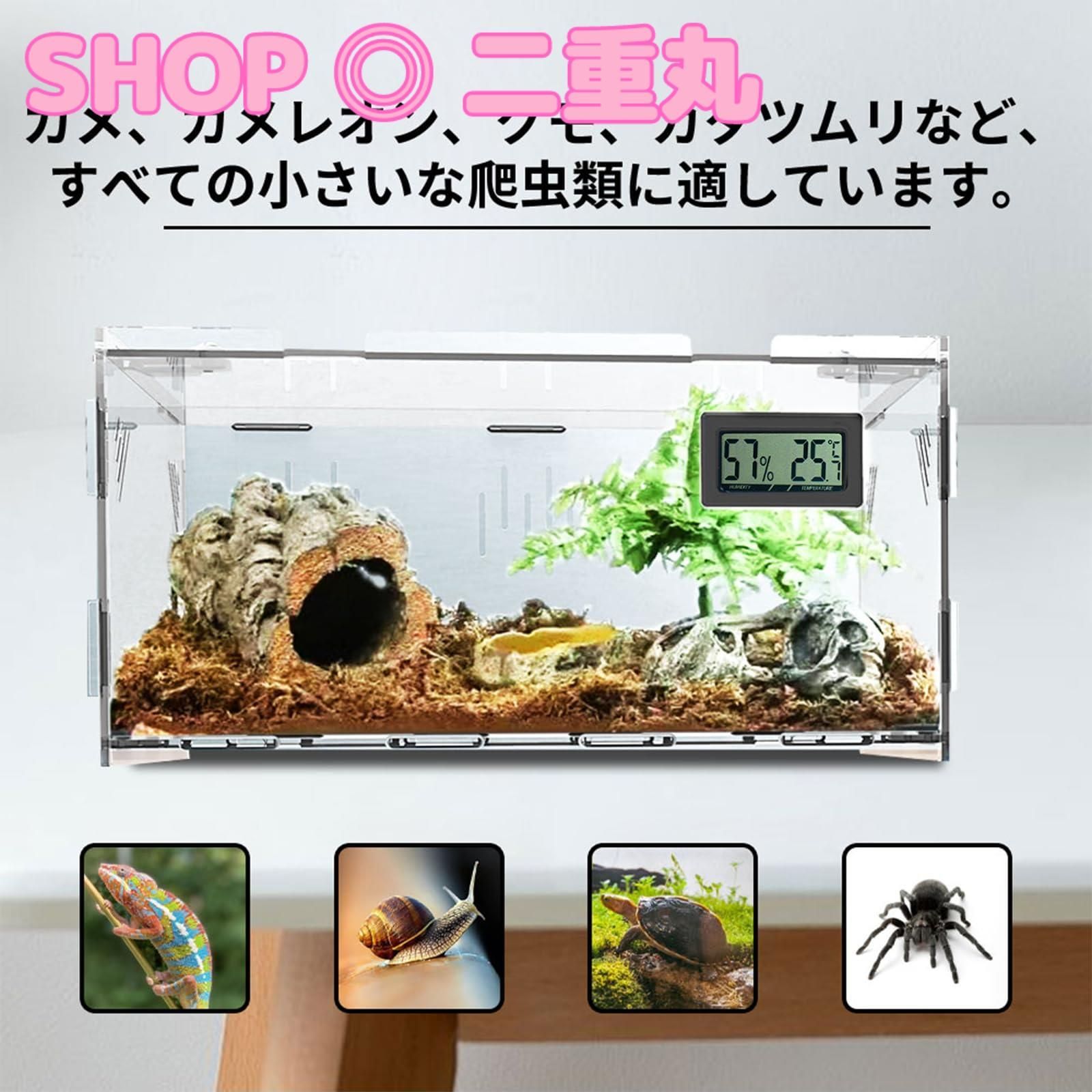 爬虫類 飼育ケース 20×20×20 ガラス 昆虫飼育ケース クモ 少なし サソリ ヤモリ カメ 蜘蛛 コーンスネーク ヘビ トカゲ 飼育ケージ 飼育容器  飼育ケージ 爬虫類テラリウム 昆虫飼育ケース 通気ケージ 飼育ボックス お手入れ簡単 LB-204 区分80S