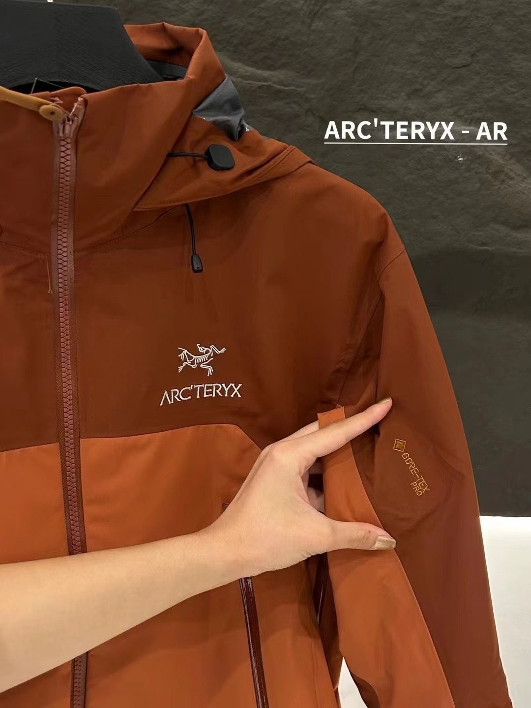 ARC'TERYX バイカラー🐦始祖鳥