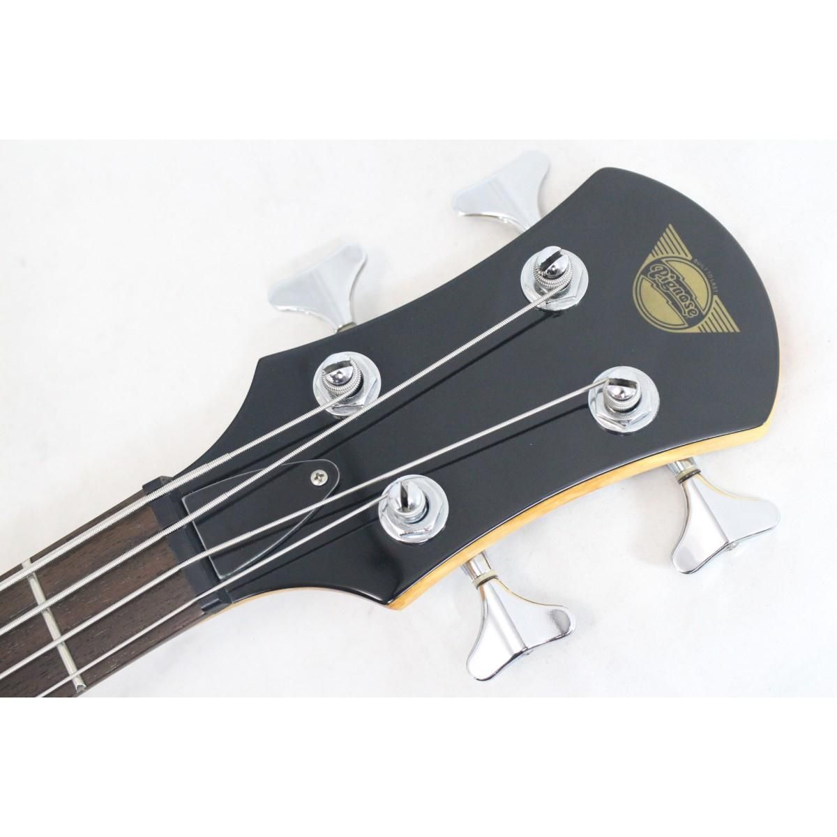 ＰＩＧＮＯＳＥ ＰＧＢ－２００