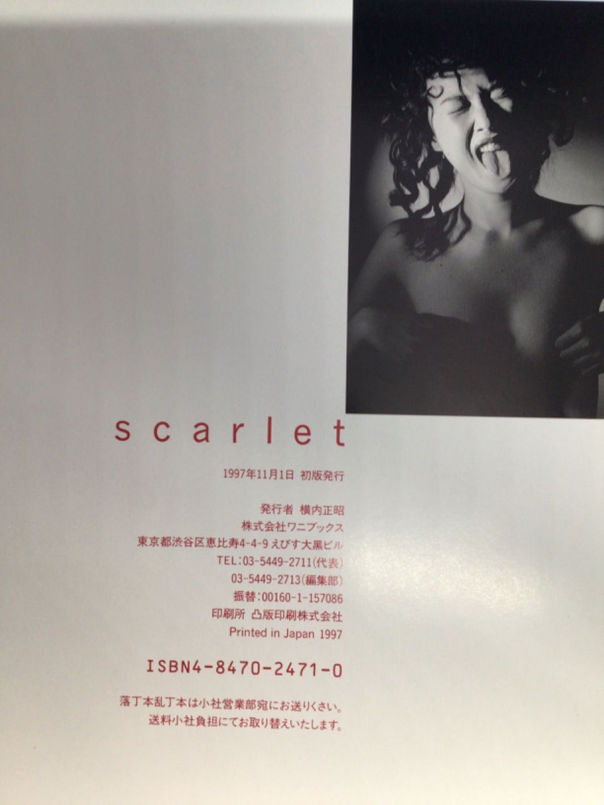 大野幹代 写真集 scarlet 木村晴 ワニブックス *349 - メルカリ