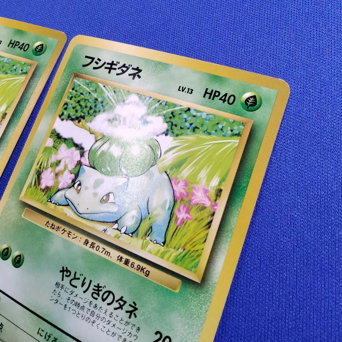 フシギダネ LV.13(第1弾初版・マーク無し) [旧裏面] No.001 傷有り