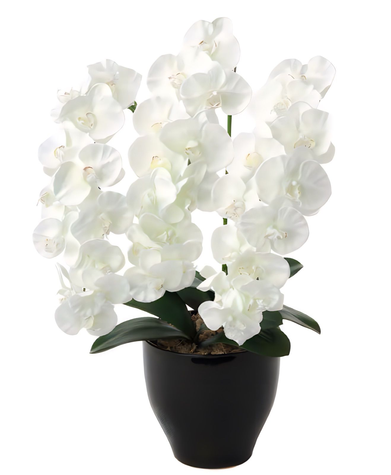 光触媒 人工観葉植物 ウォールグリーン フェイクグリーン プレミアム