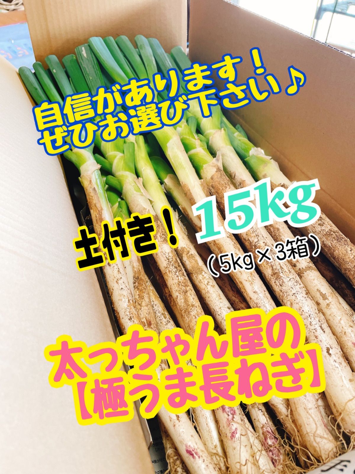 太っちゃん屋の極うま長ねぎ 土付き15kg