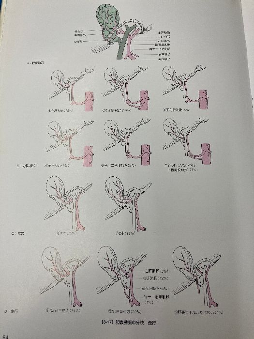 消化器外科手術のための解剖学 -小腸・大腸,肛門部疾患,肝臓・胆嚢・