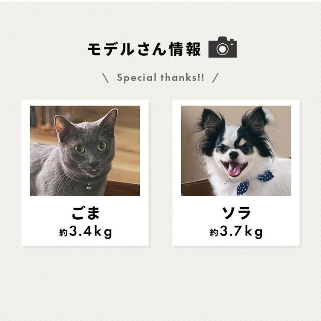 公式 ペットベッド