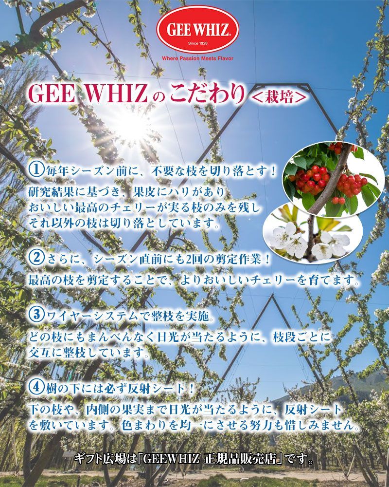 チェリー 1kg