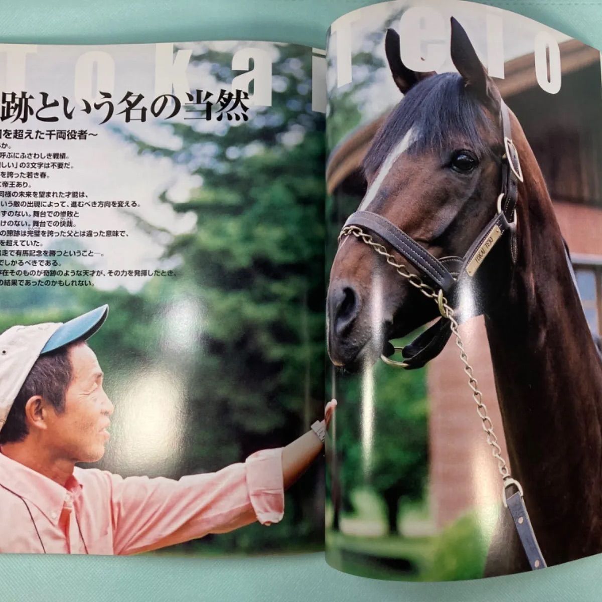 Gallop DVD 100名馬 セレクション オグリキャップ