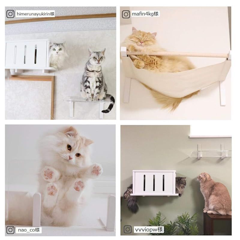 キャットステップ白（単）【アニマコレ(animacolle)】キャットロード