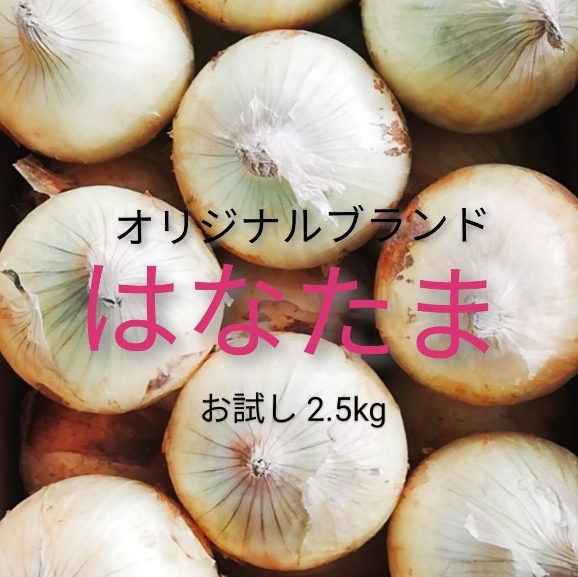淡路島産玉葱 2.5kg 露地栽培 サラダたまねぎタマネギ玉ねぎオニオンサラダ-0
