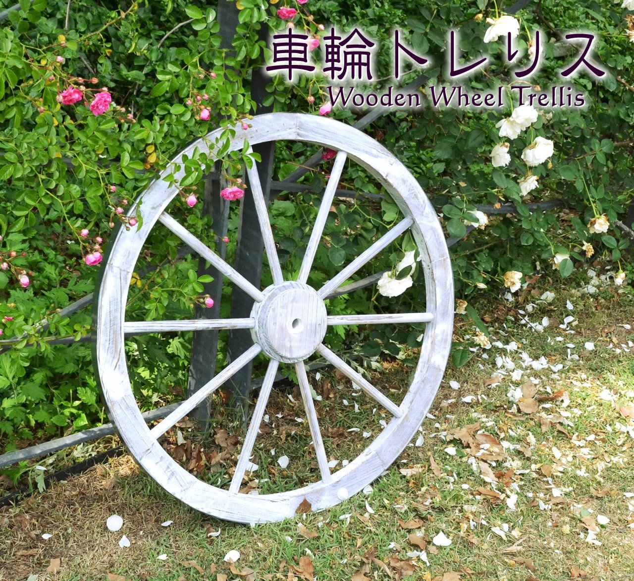 ガーデンガーデン 天然木製 車輪トレリス アンティークホワイト 直径80cm×厚さ35mm アンティーク調仕上げ WT-80WHT STEELWINDOWSANDDOORS_COM
