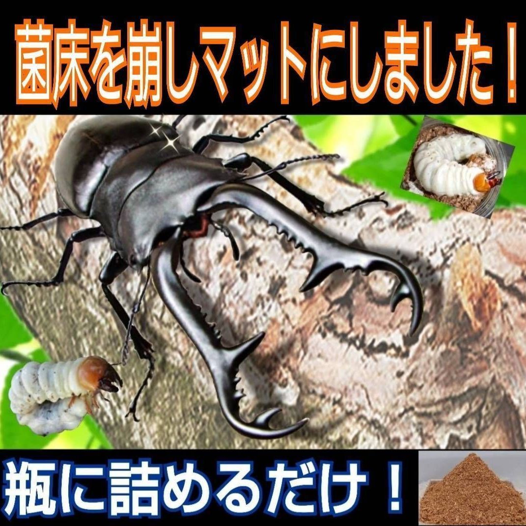 改良版】ヒマラヤひらたけ菌床粉砕マット☆瓶に詰めるだけ!オオクワに