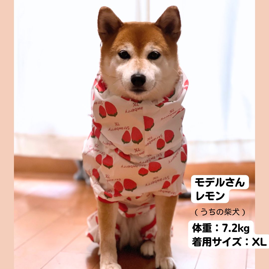 🆕❤犬用 撥水コート レインコート 着脱ラクラク ストッパー付き調節可能 可愛い いちご柄 反射テープ４本付き 防水性 梅雨対策 素早く着せれる  汚れに強い 全身覆うタイプ コーギー 柴犬 ４足を通し リードの穴のカバー - メルカリ