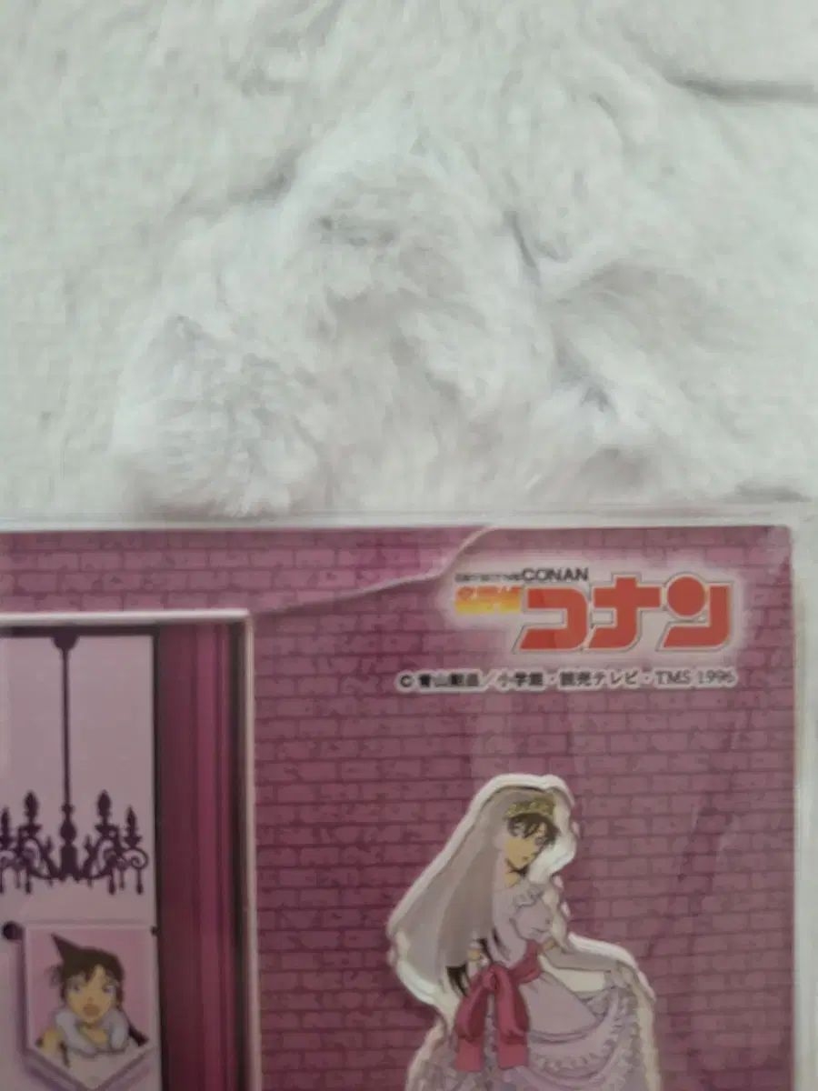 ラン ショーウィンドウ
