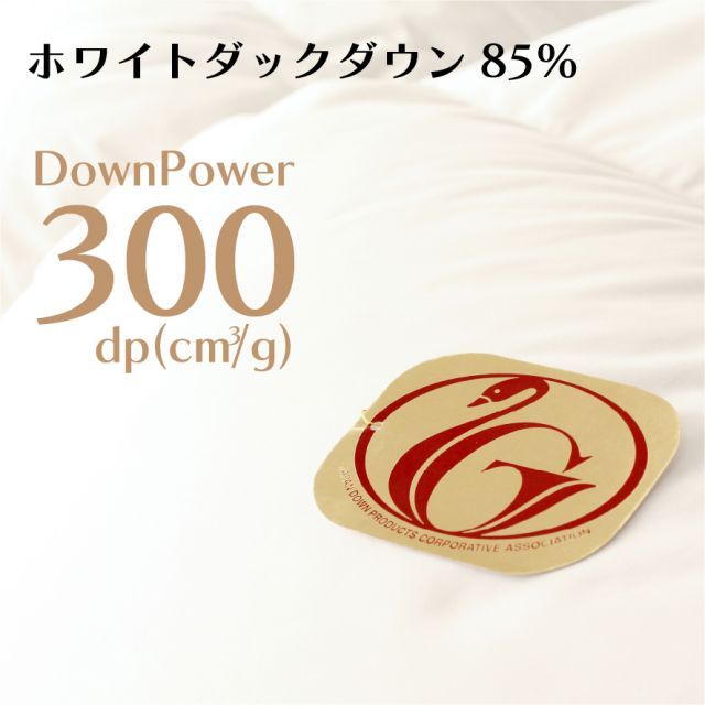 種類3 約190×210cm 肌掛け 羽毛布団 ダウンケット 洗える ホワイトダックダウン85% 羽毛ふとん 軽い 夏用 掛け布団 日本製 全5サイズ シングル セミダブル ダブル クイーン キング WWW_KANDAIZUMI_COM