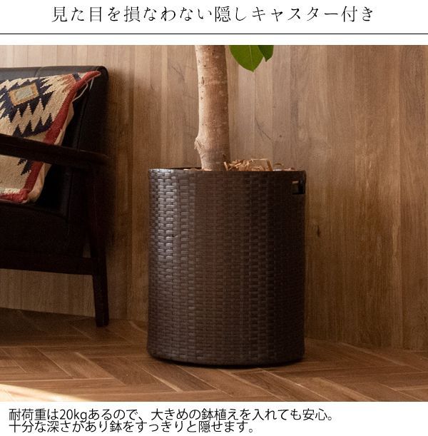 観葉植物
