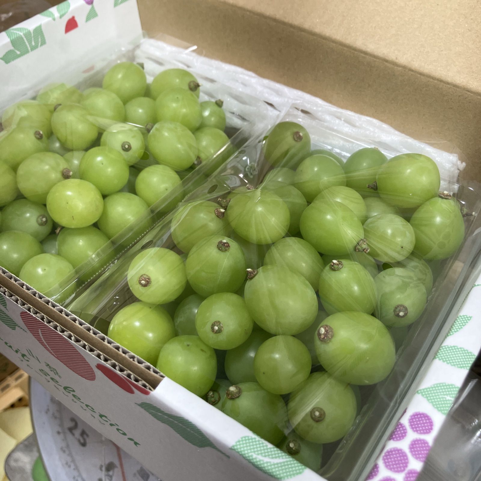 山梨県産 シャインマスカット　　粒売り 箱込み約5.6kg 規格外】山梨県産シャインマスカット 粒売り1.1kg以上：山梨県産