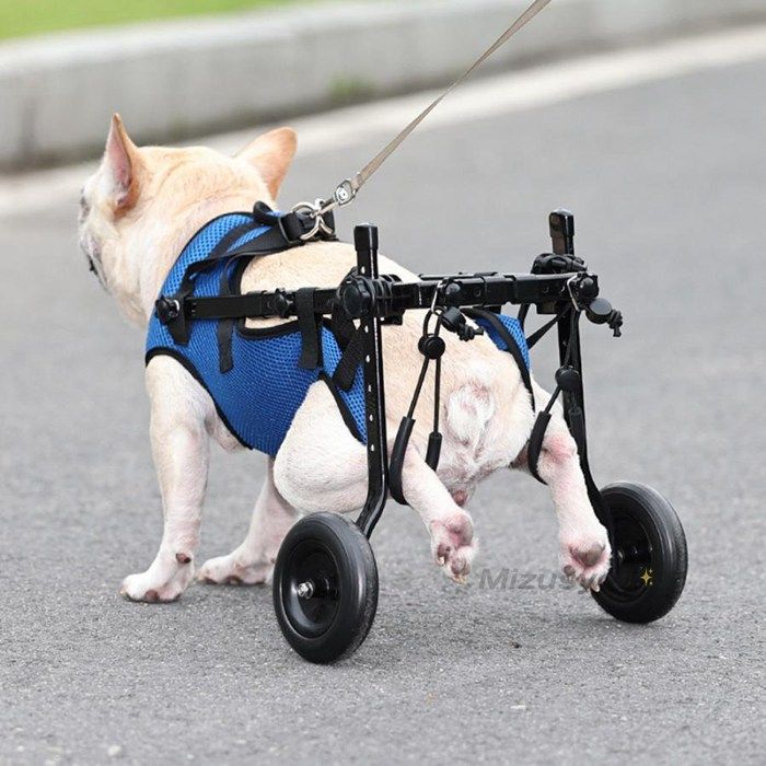 犬用　ペット車イス　2輪歩行器　リハビリ　介護犬　小型 楽天市場】【楽天1位☆レビュー特典】犬用車椅子 歩行器 車いす