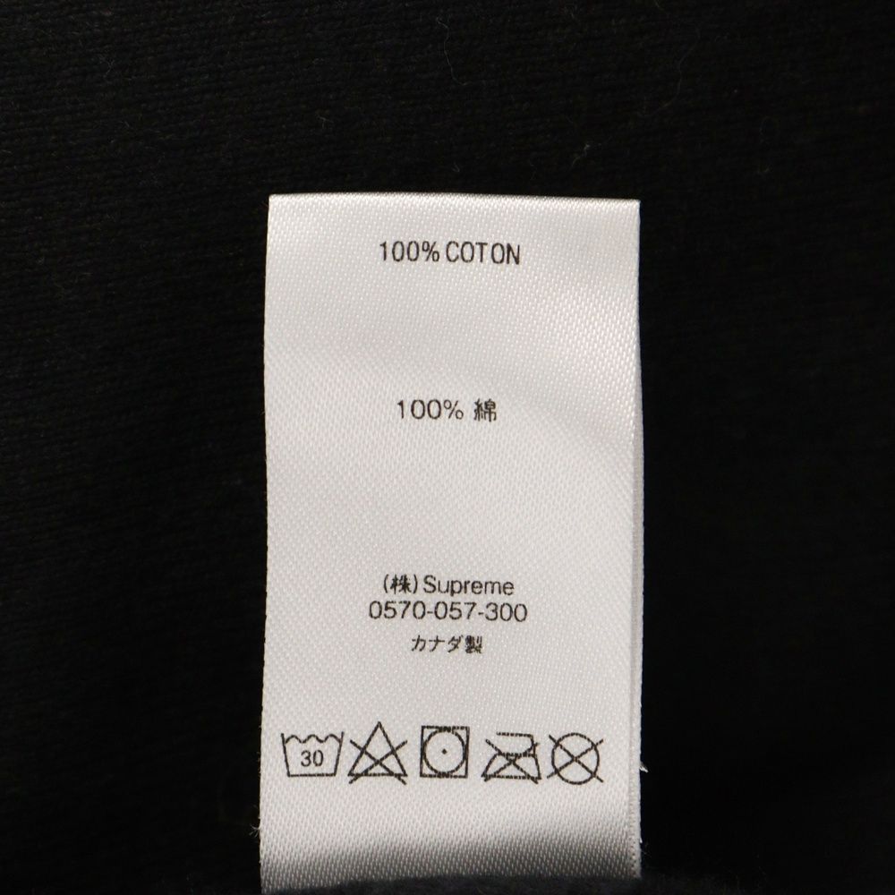 SUPREME (シュプリーム) 19SS Apple Hooded Sweatshirt アップル