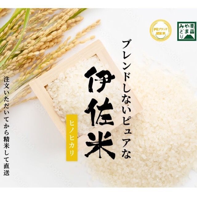 鹿児島県産 伊佐米 ヒノヒカリ 精米 5kg