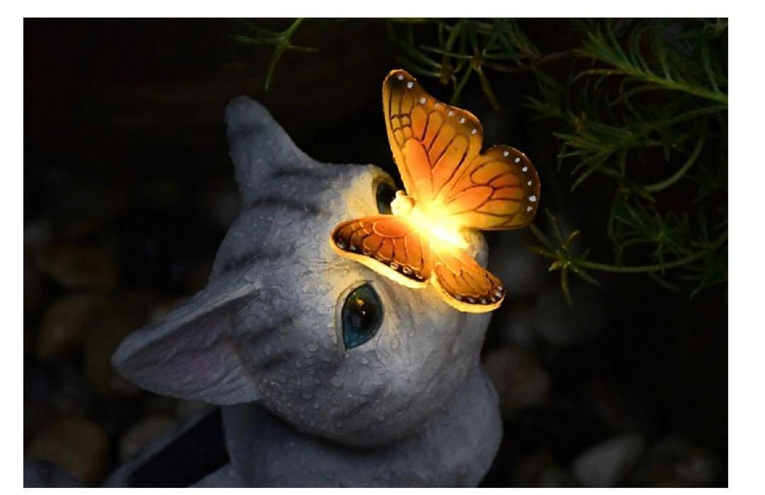 動物