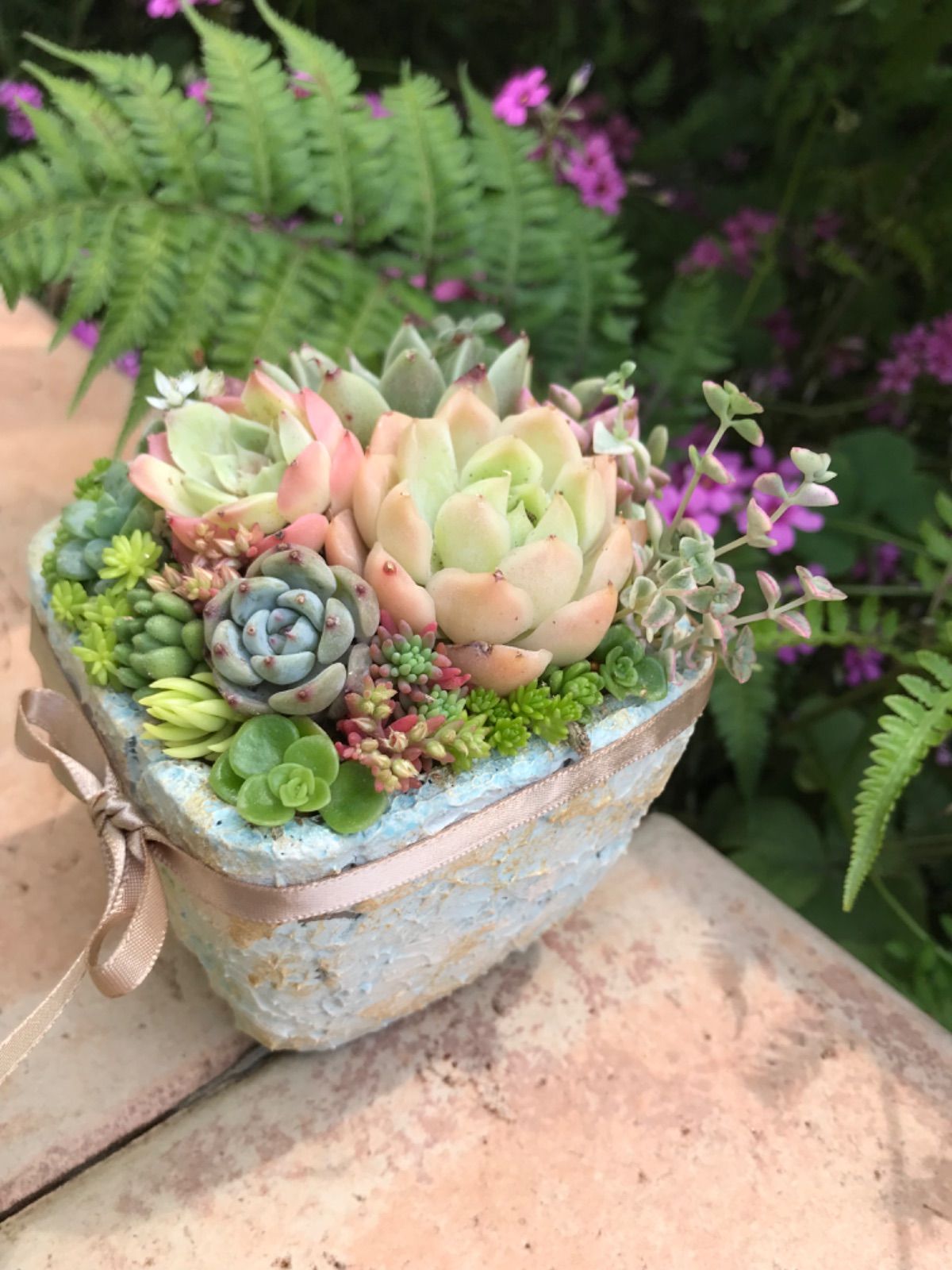 多肉植物寄せ植え(石造りの鉢) - メルカリ