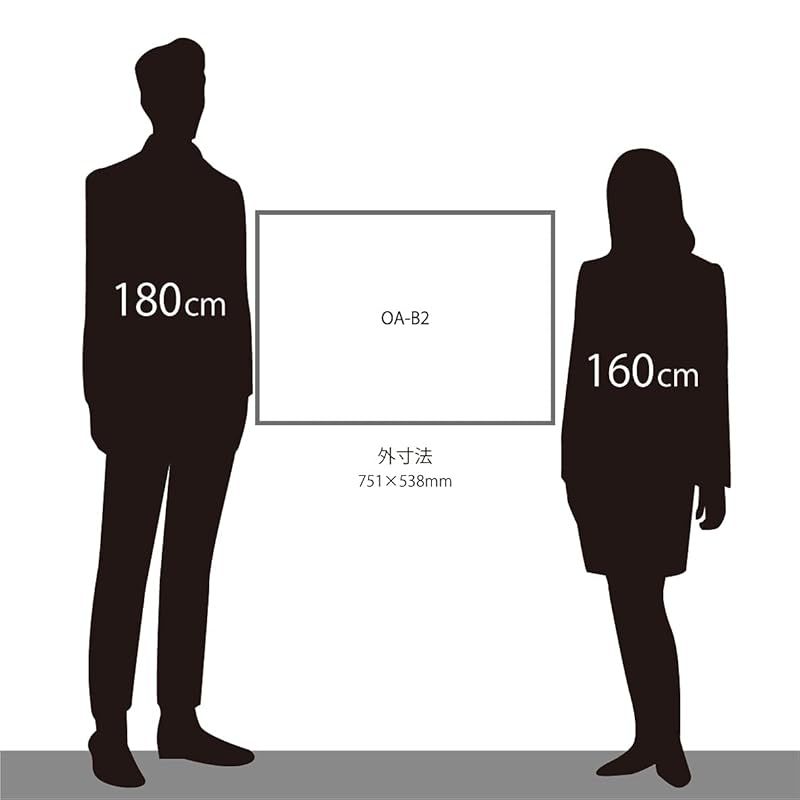 大額 デッサン額 BC-300 OA-B2 ブラック UVカットアクリル