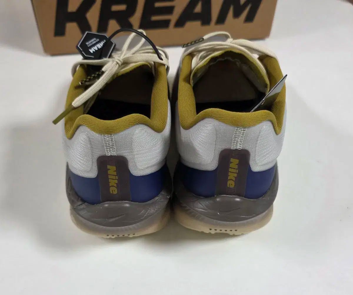 6 ライトボーン