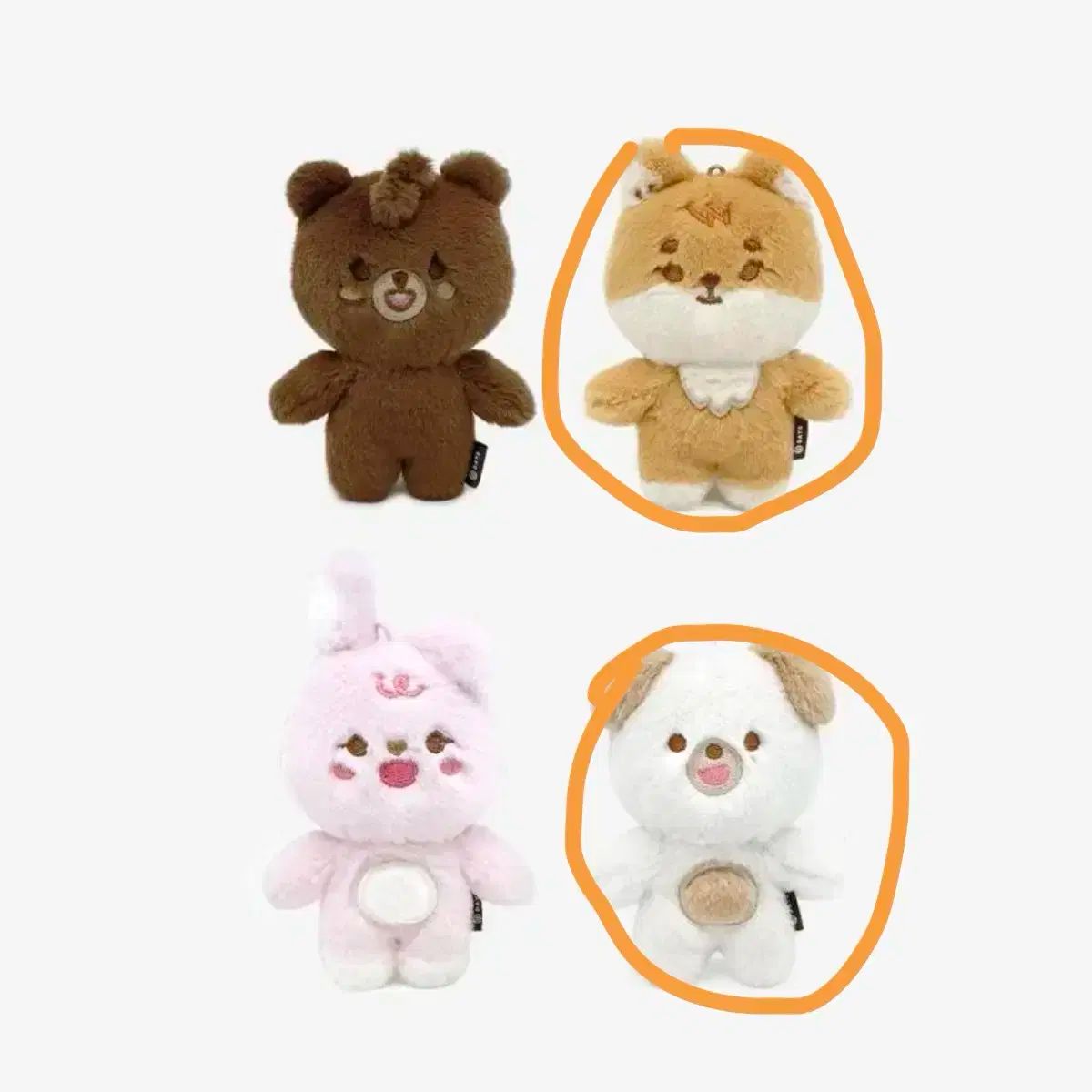 DAY6(デイシックス) ドウン(DOWOON) デニマルズ(DENIMALZ) お金 24 未